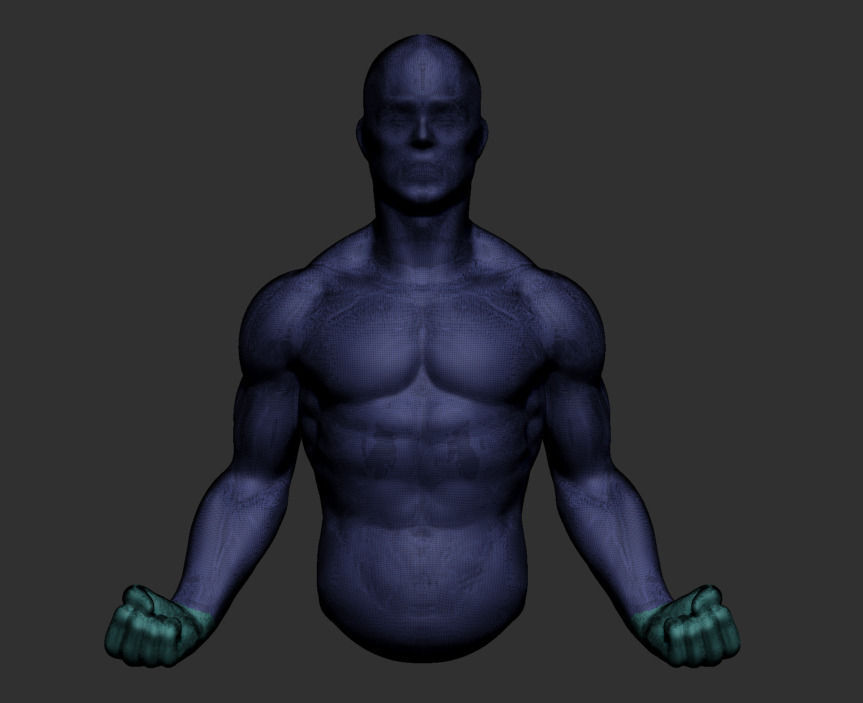 Male Upper Body 3D model_4