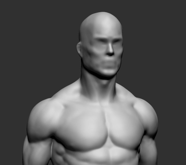 Male Upper Body 3D model_1