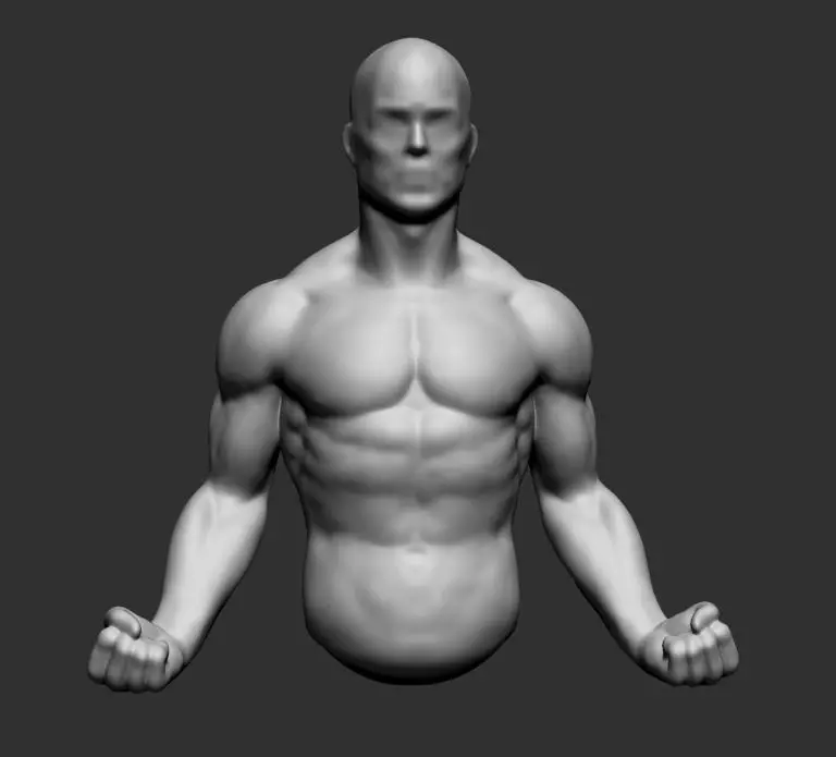 Male Upper Body 3D model_0