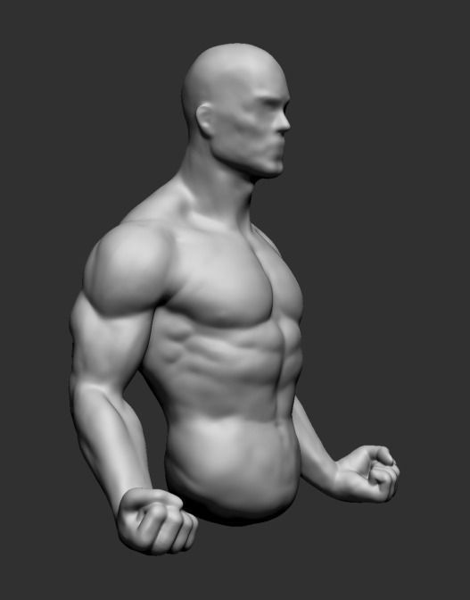 Male Upper Body 3D model_2