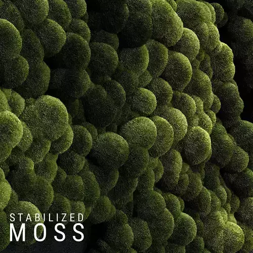 Stabilized Moss 3 3D model