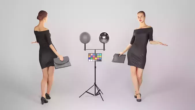 Elegant lady with a clutch bag 113