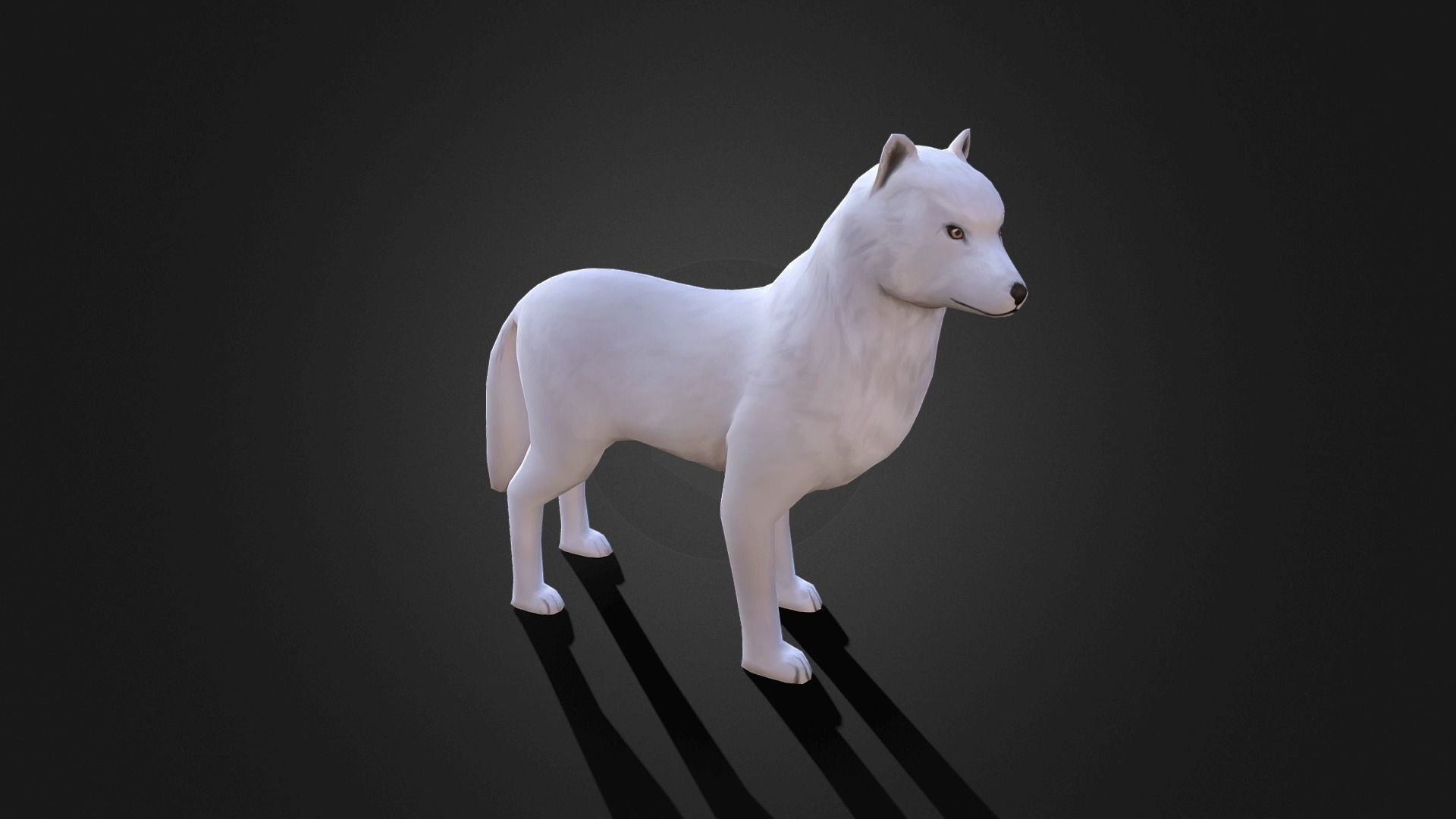 Low poly Arctic Wolf - Idle Animated Low-poly 3D model_7