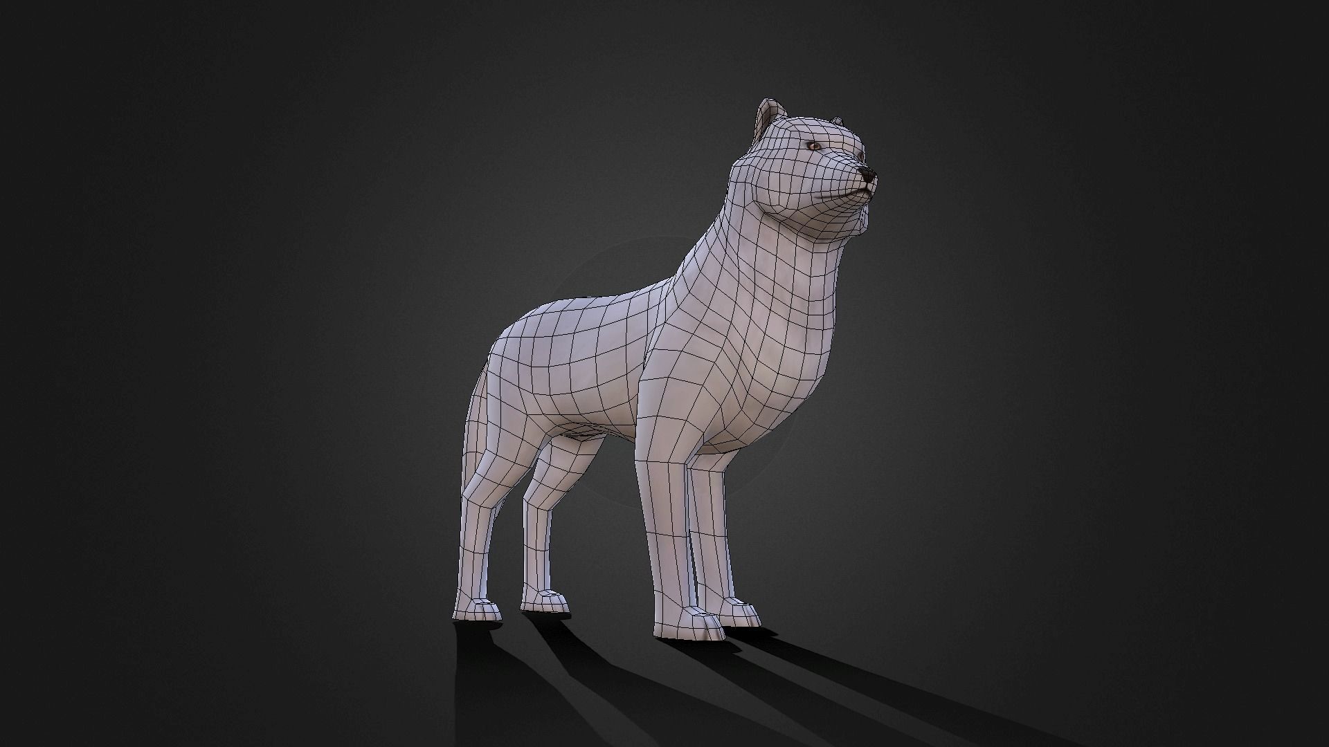 Low poly Arctic Wolf - Idle Animated Low-poly 3D model_2