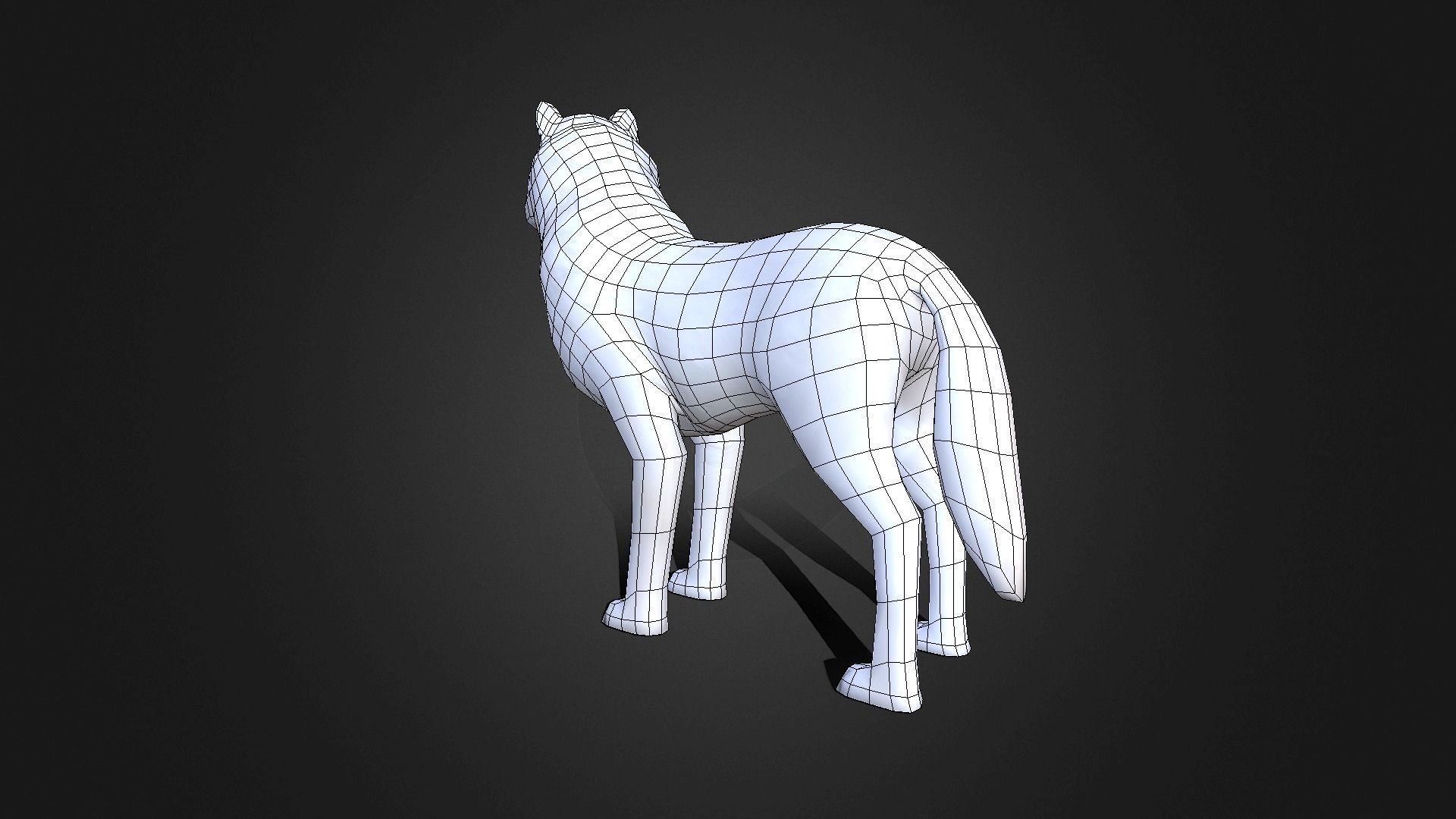 Low poly Arctic Wolf - Idle Animated Low-poly 3D model_4