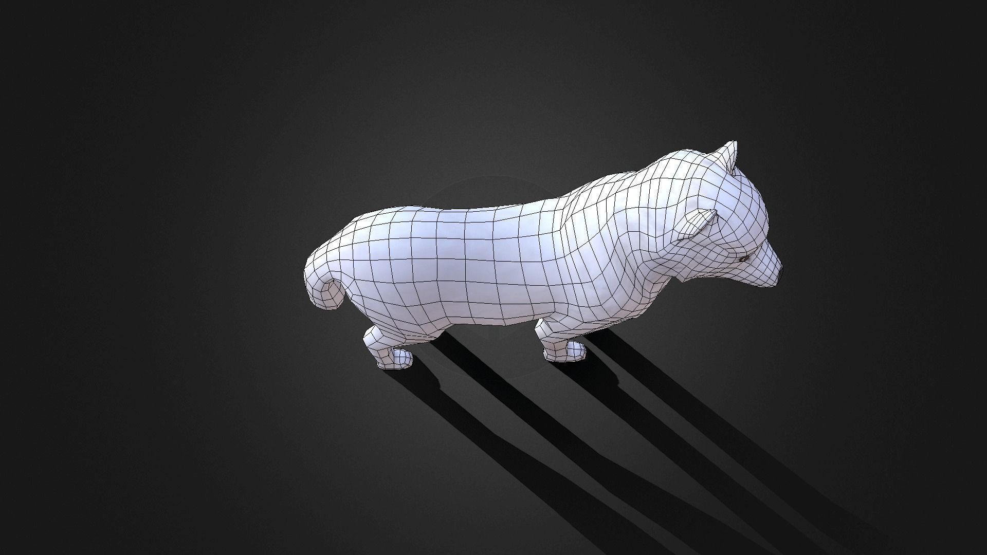 Low poly Arctic Wolf - Idle Animated Low-poly 3D model_12