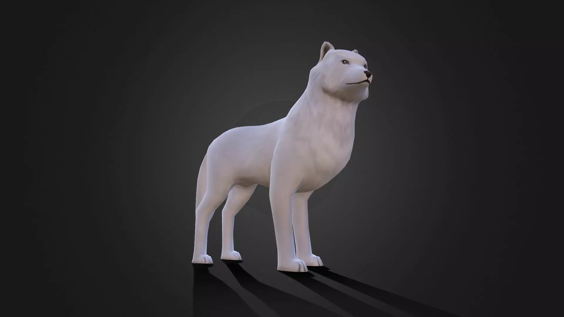 Low poly Arctic Wolf - Idle Animated Low-poly 3D model_0