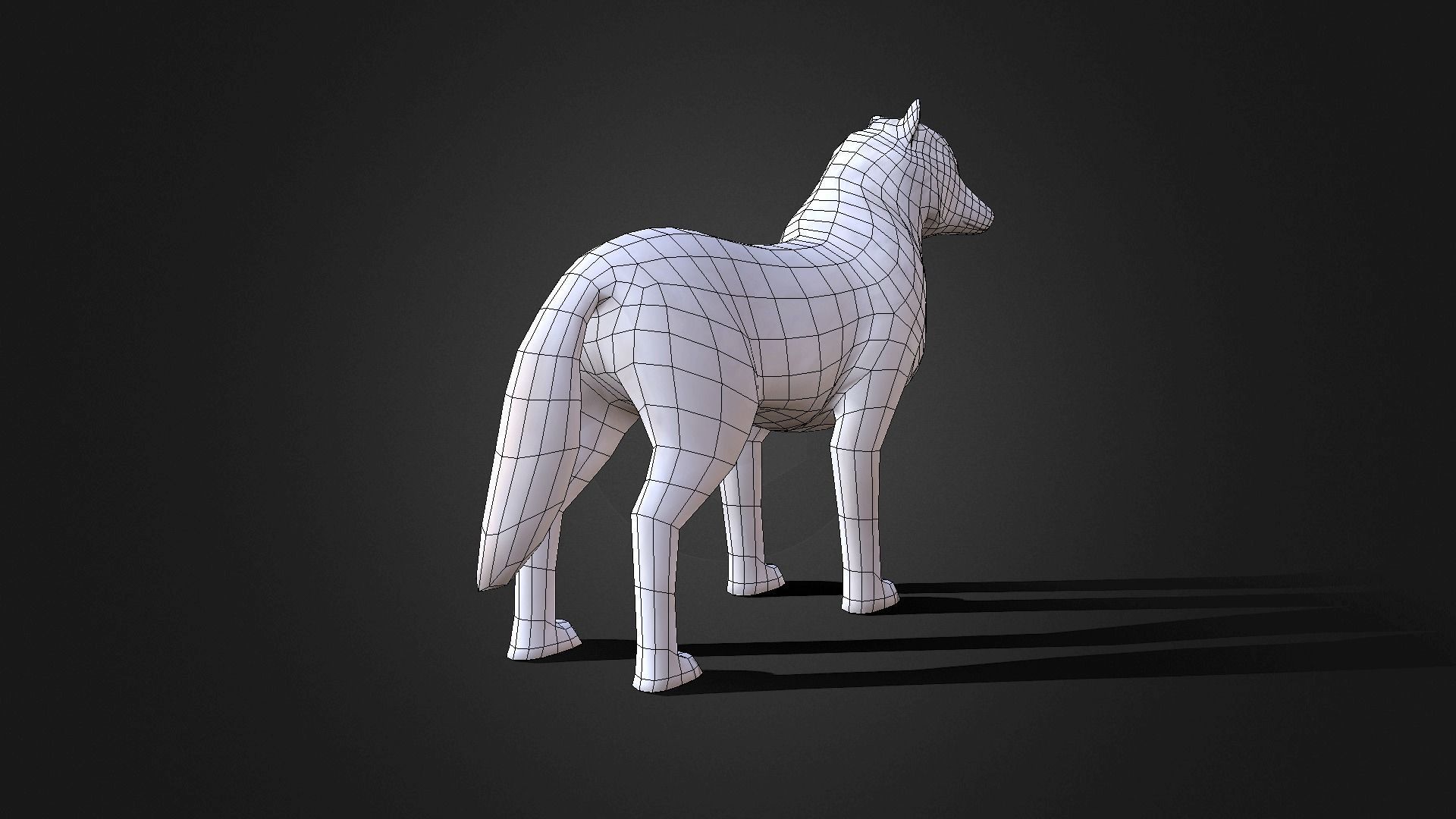 Low poly Arctic Wolf - Idle Animated Low-poly 3D model_14