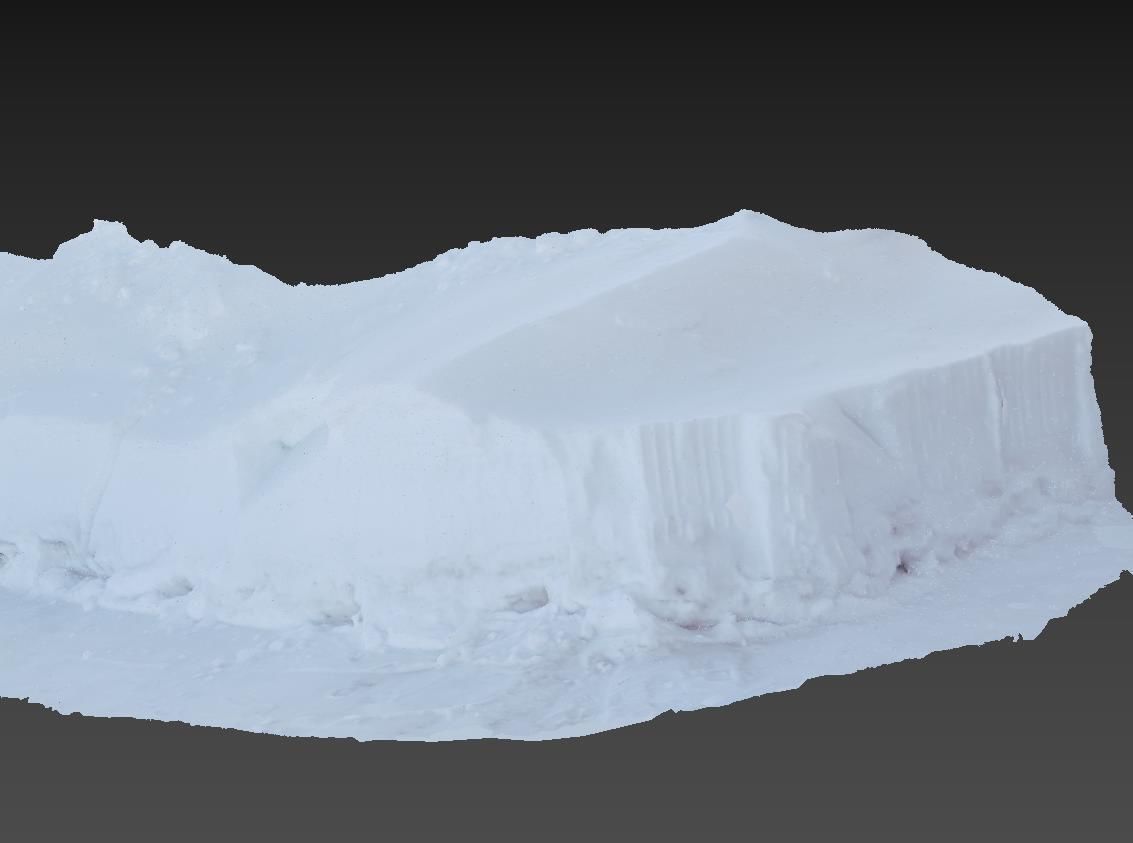 Snow  fence  3D model_13