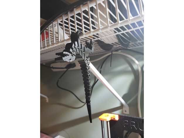 Raptor tyrannosaurus rex magnet 3D model_7