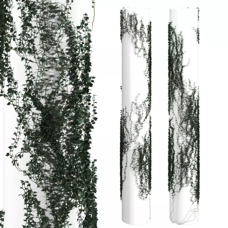 Ivy winding on a pillar 3D model_0