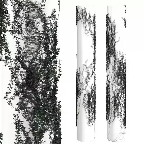 Ivy winding on a pillar 3D model