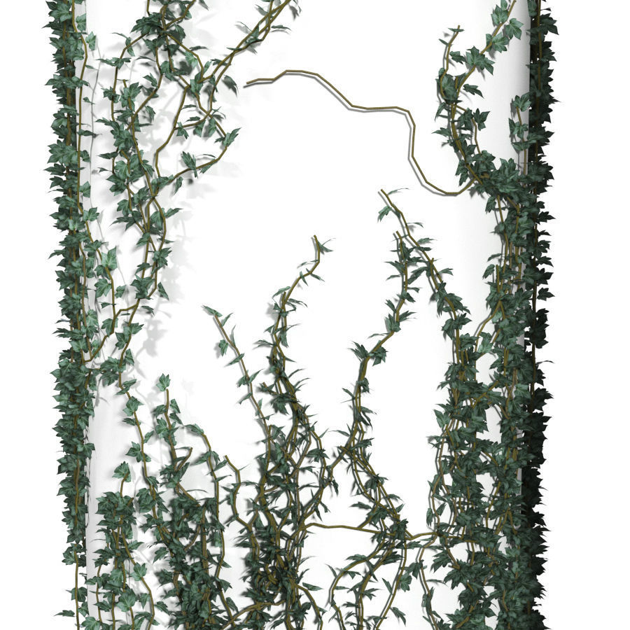 Ivy winding on a pillar 3D model_2