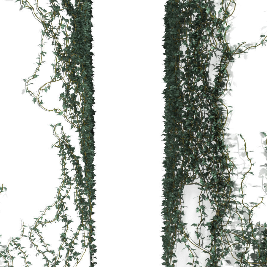 Ivy winding on a pillar 3D model_1