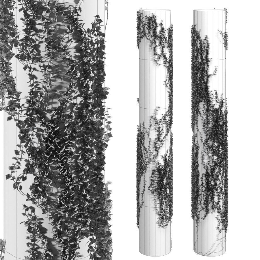 Ivy winding on a pillar 3D model_3