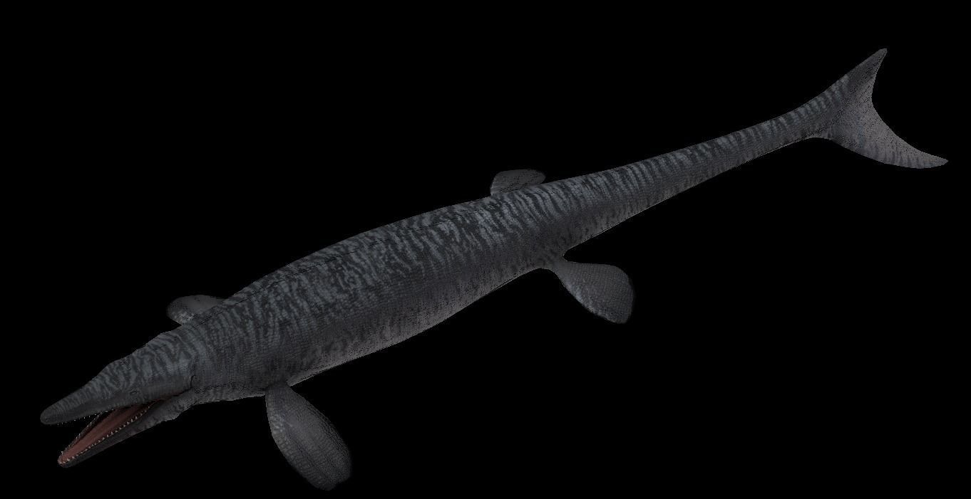 Tylosaurus Asset Pack 3D model_11