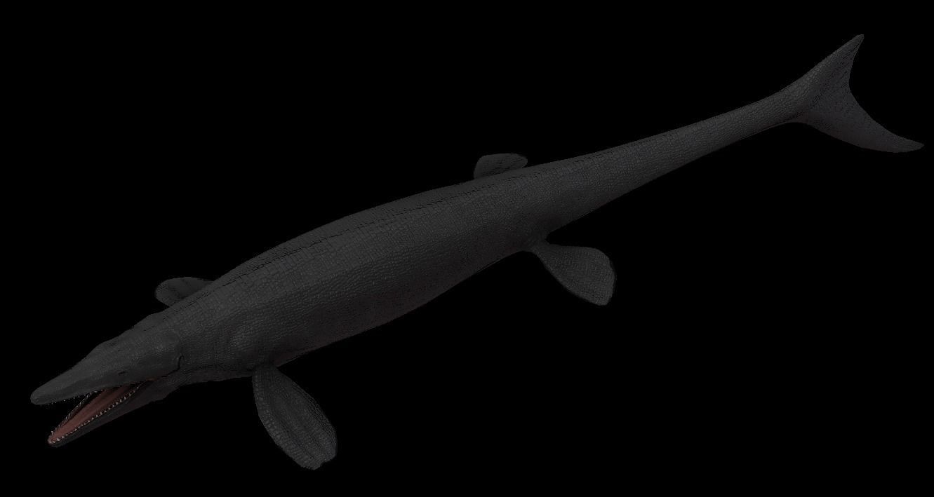 Tylosaurus Asset Pack 3D model_9