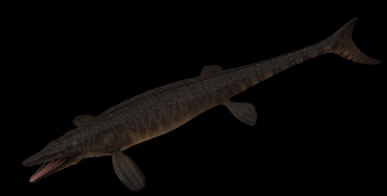 Tylosaurus Asset Pack 3D model_5