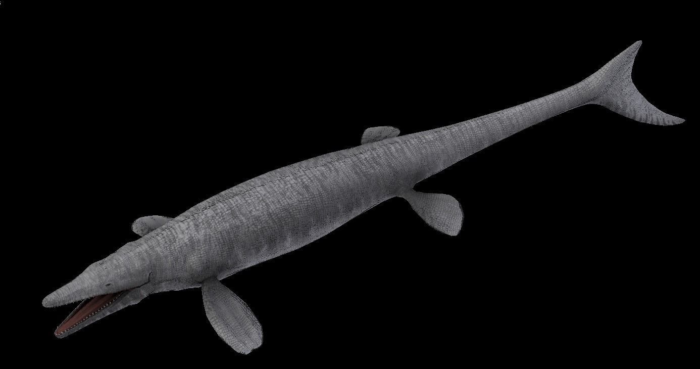 Tylosaurus Asset Pack 3D model_10