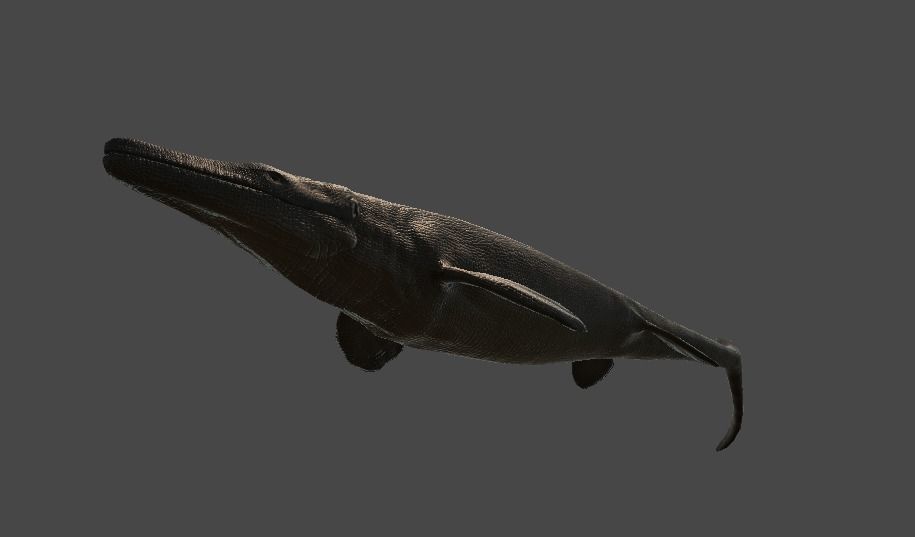 Tylosaurus Asset Pack 3D model_12