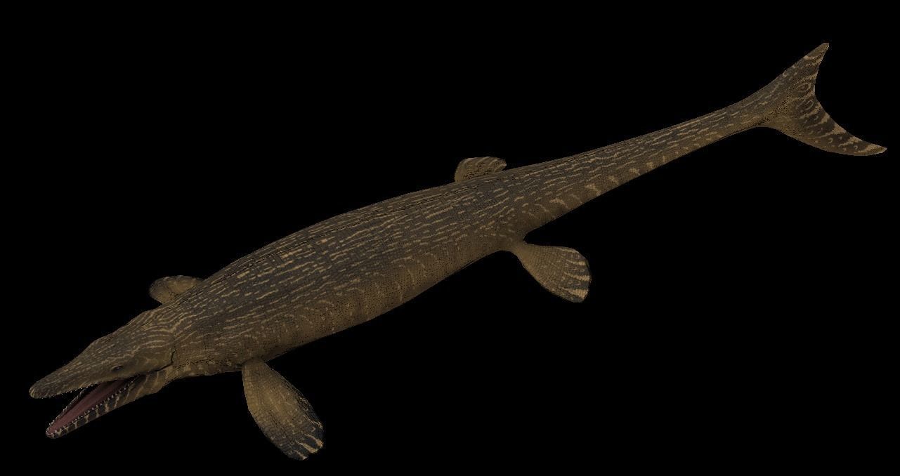 Tylosaurus Asset Pack 3D model_7