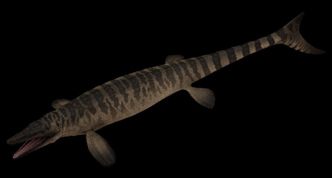 Tylosaurus Asset Pack 3D model_2