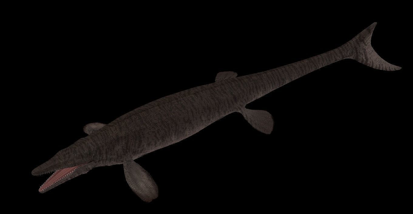 Tylosaurus Asset Pack 3D model_6