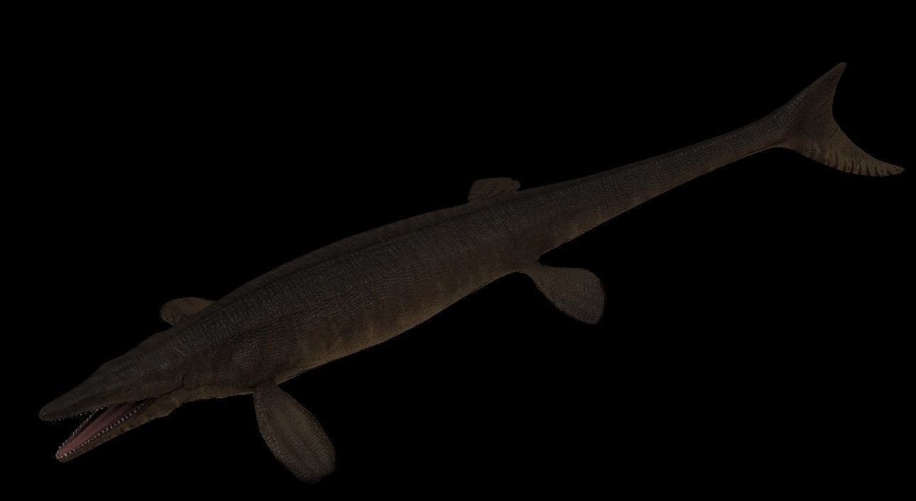 Tylosaurus Asset Pack 3D model_4