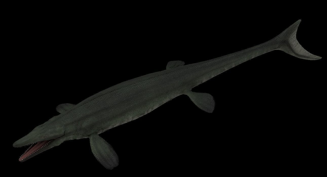 Tylosaurus Asset Pack 3D model_8