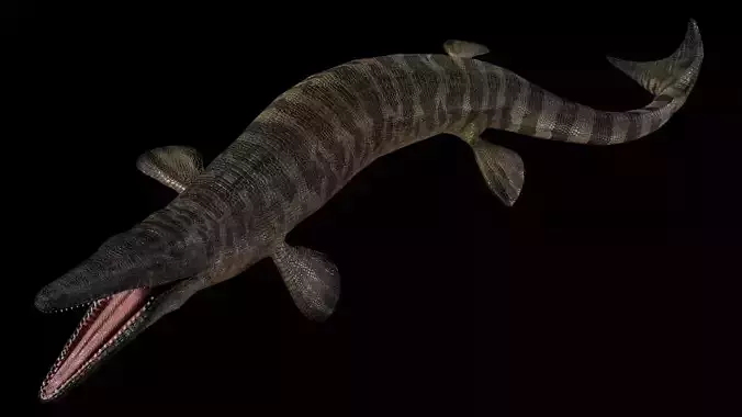 Tylosaurus Asset Pack 3D model