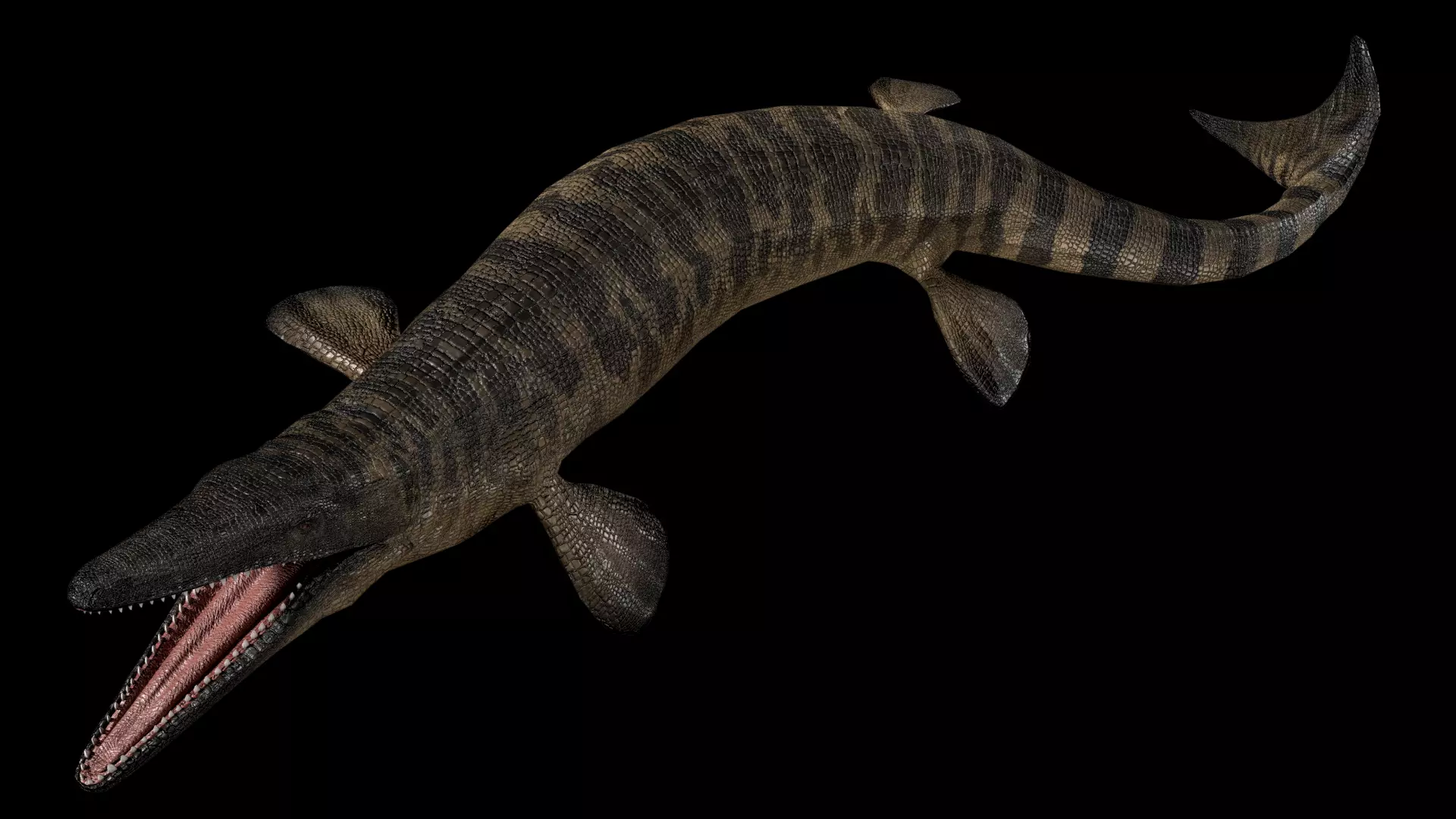 Tylosaurus Asset Pack 3D model_0
