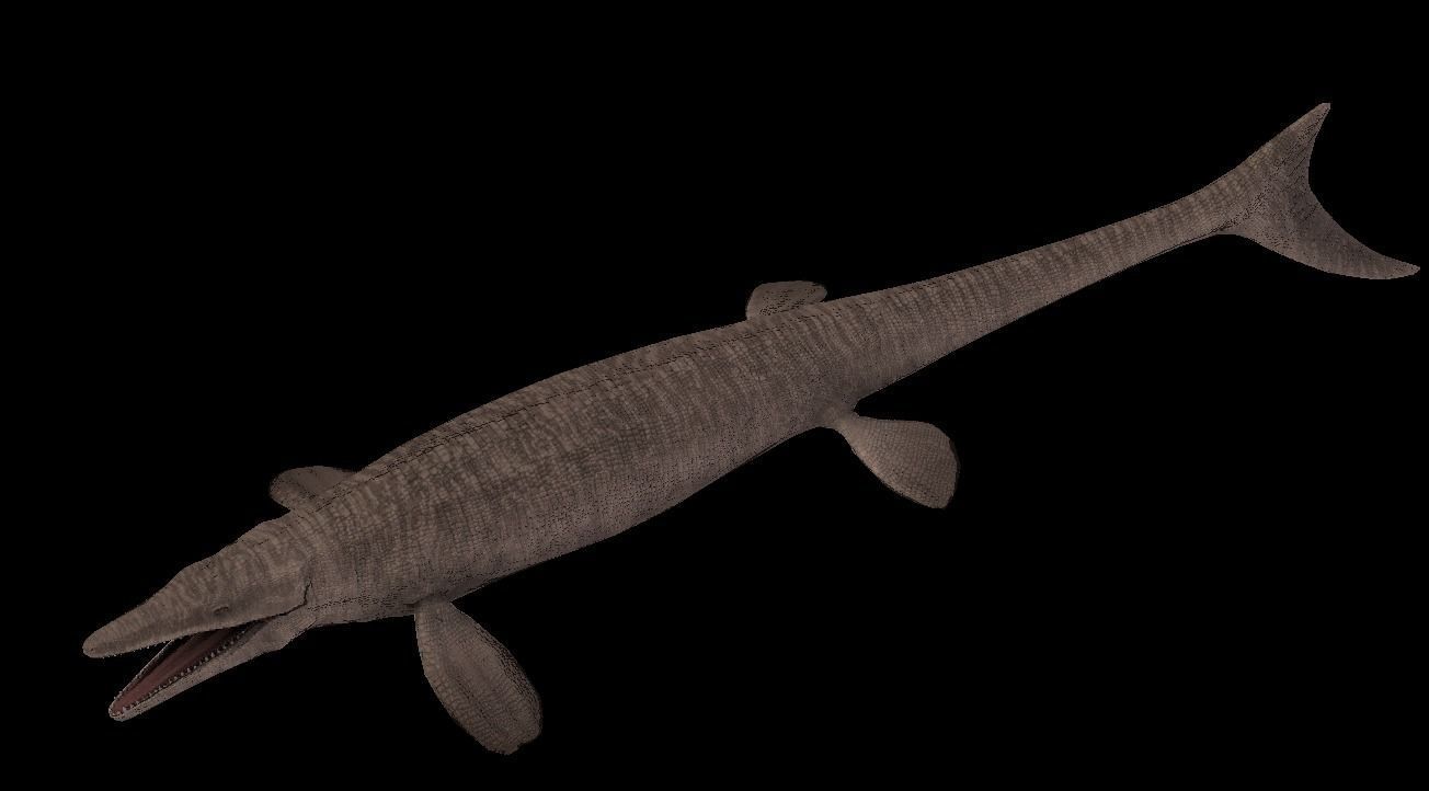 Tylosaurus Asset Pack 3D model_3