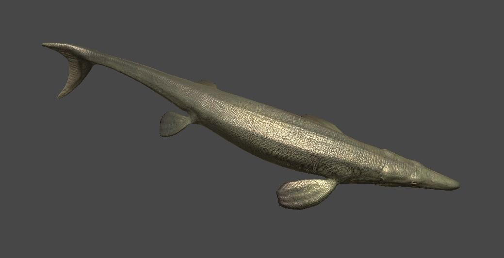 Tylosaurus Asset Pack 3D model_14