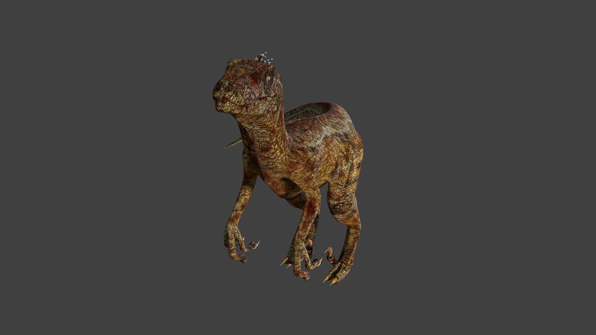 Velociraptor dinosaur Free low-poly 3D model