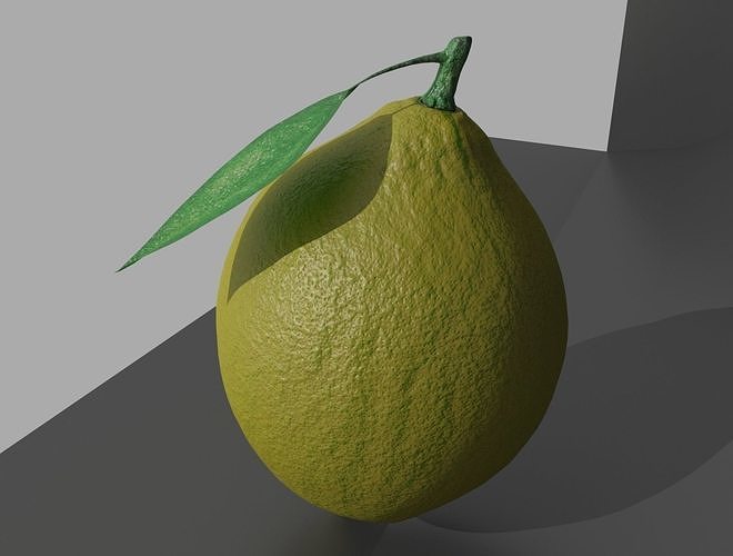 LEMON with leaf 3D model 7
