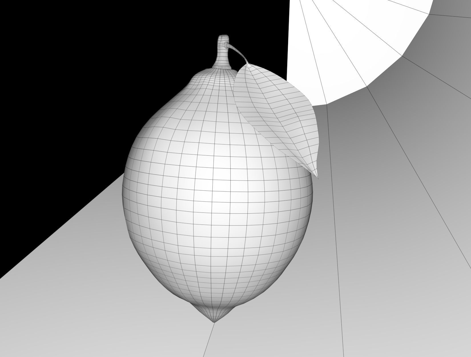 LEMON with leaf 3D model_9