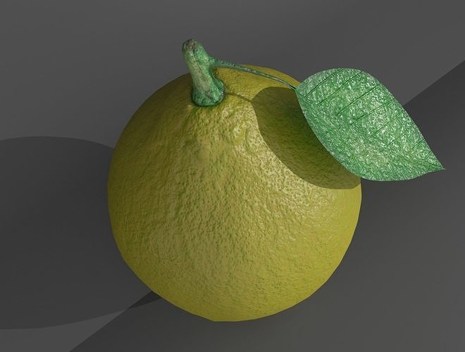 LEMON with leaf 3D model 4