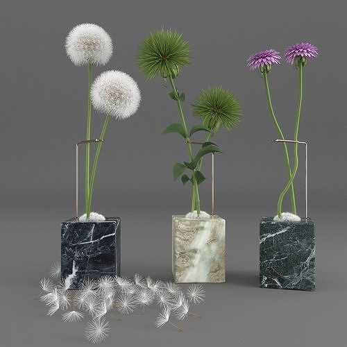 Dandelion Wishes Plant 3D model