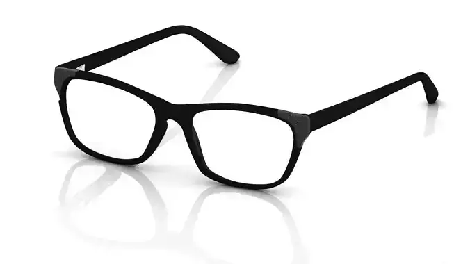 Eyeglasses for Men and Women 3D print model