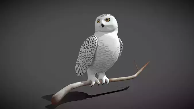 Low poly Snowy Owl - Idle Animated Low-poly 3D model