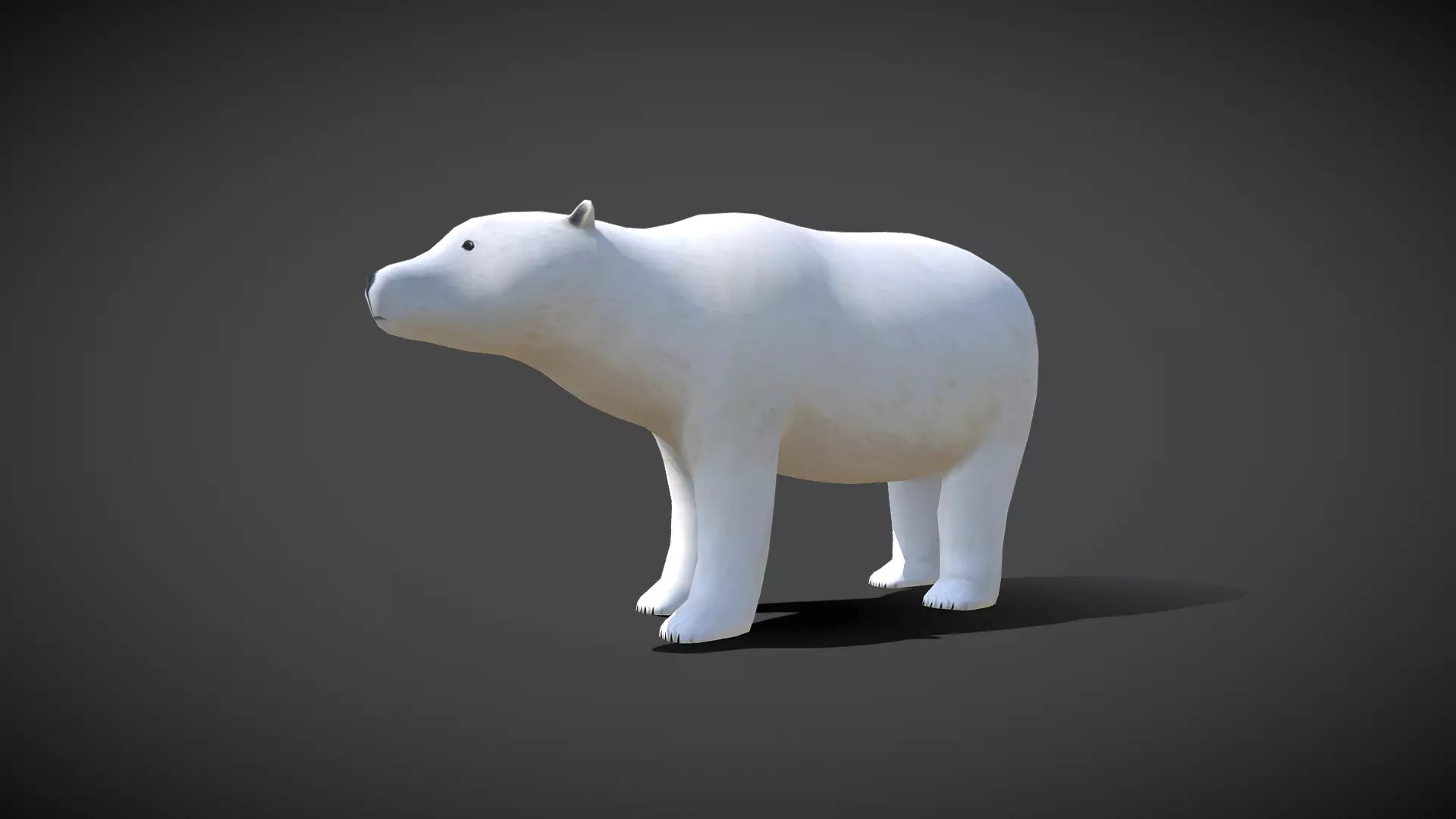 Low poly Polar Bear - Idle Animated Low-poly 3D model_0
