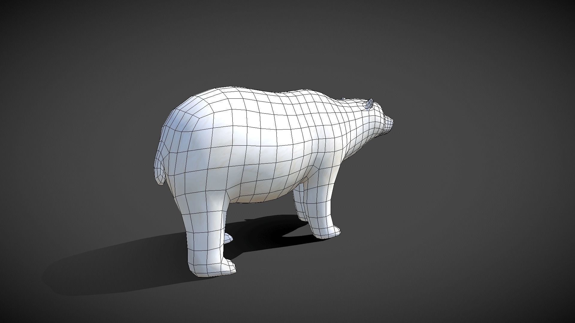 Low poly Polar Bear - Idle Animated Low-poly 3D model_10