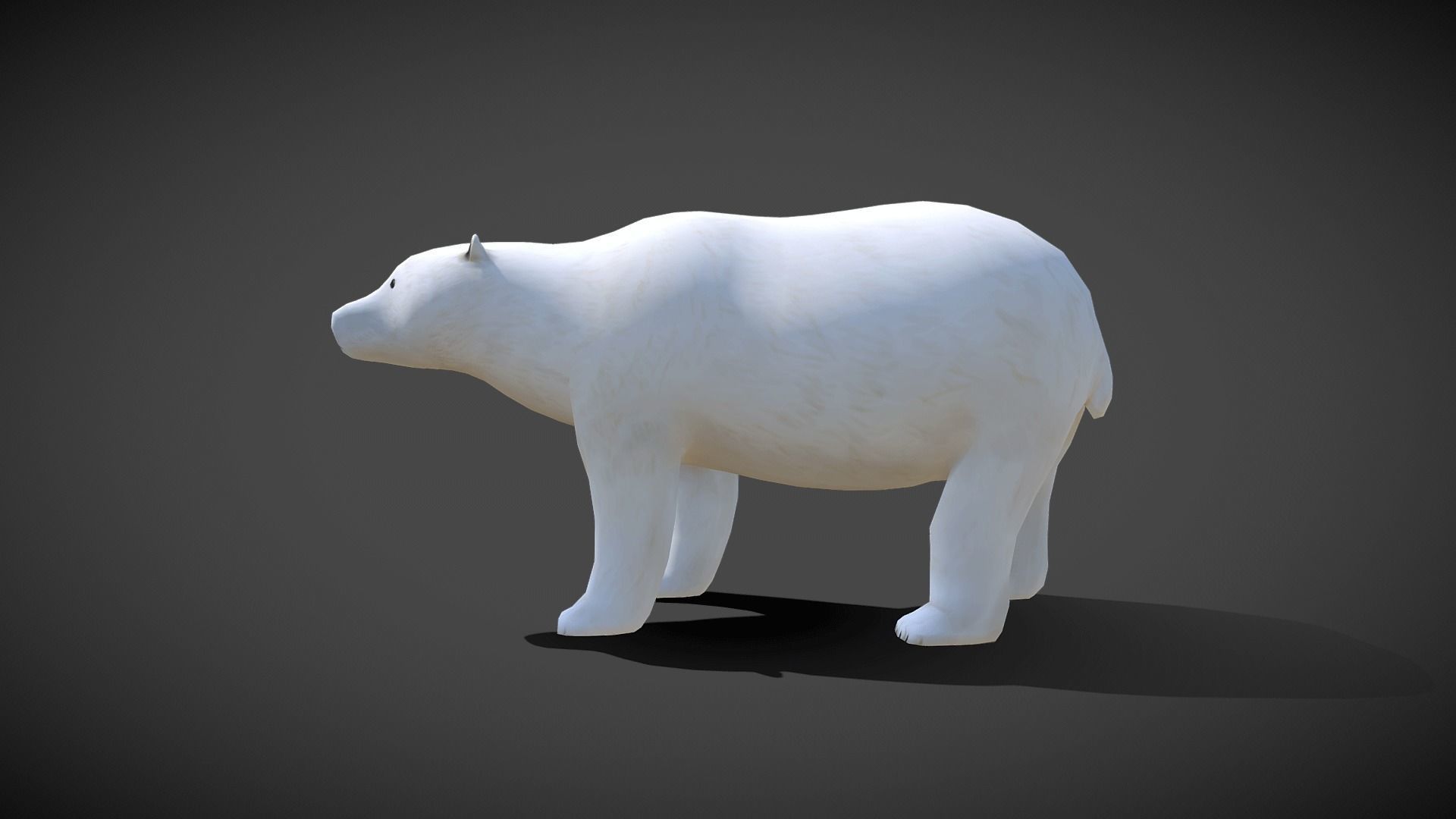 Low poly Polar Bear - Idle Animated Low-poly 3D model_13