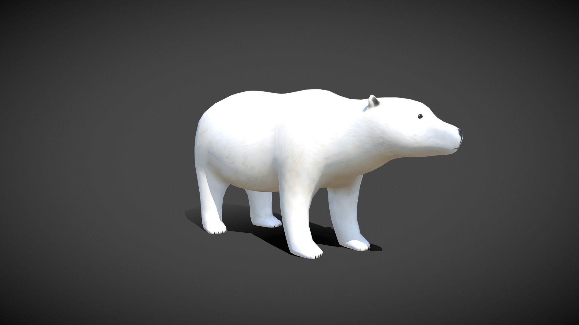 Low poly Polar Bear - Idle Animated Low-poly 3D model_9