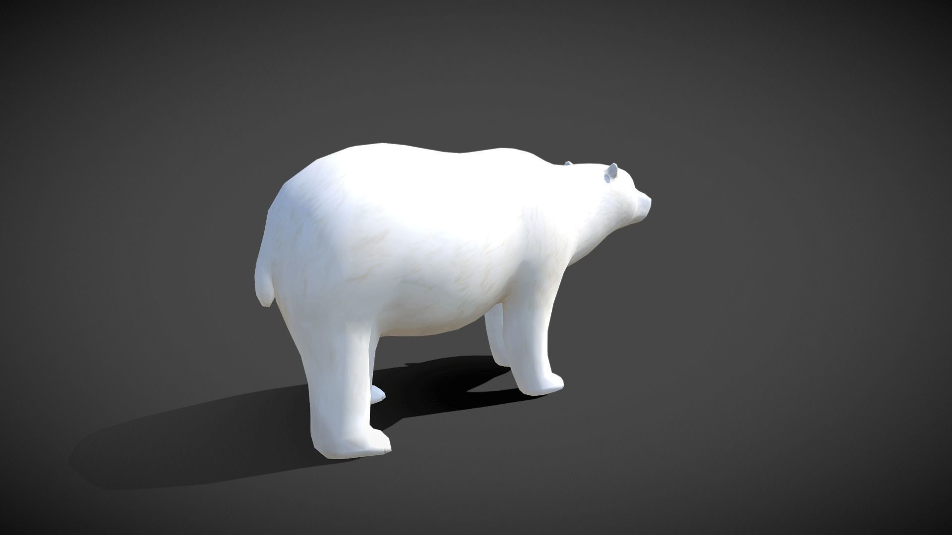 Low poly Polar Bear - Idle Animated Low-poly 3D model_11