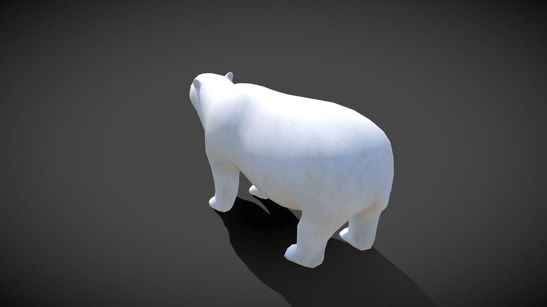 Low poly Polar Bear - Idle Animated Low-poly 3D model_7