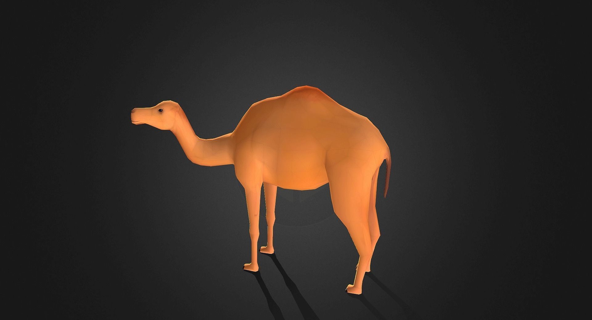 Low poly Camel - Idle Animated Low-poly 3D model_9