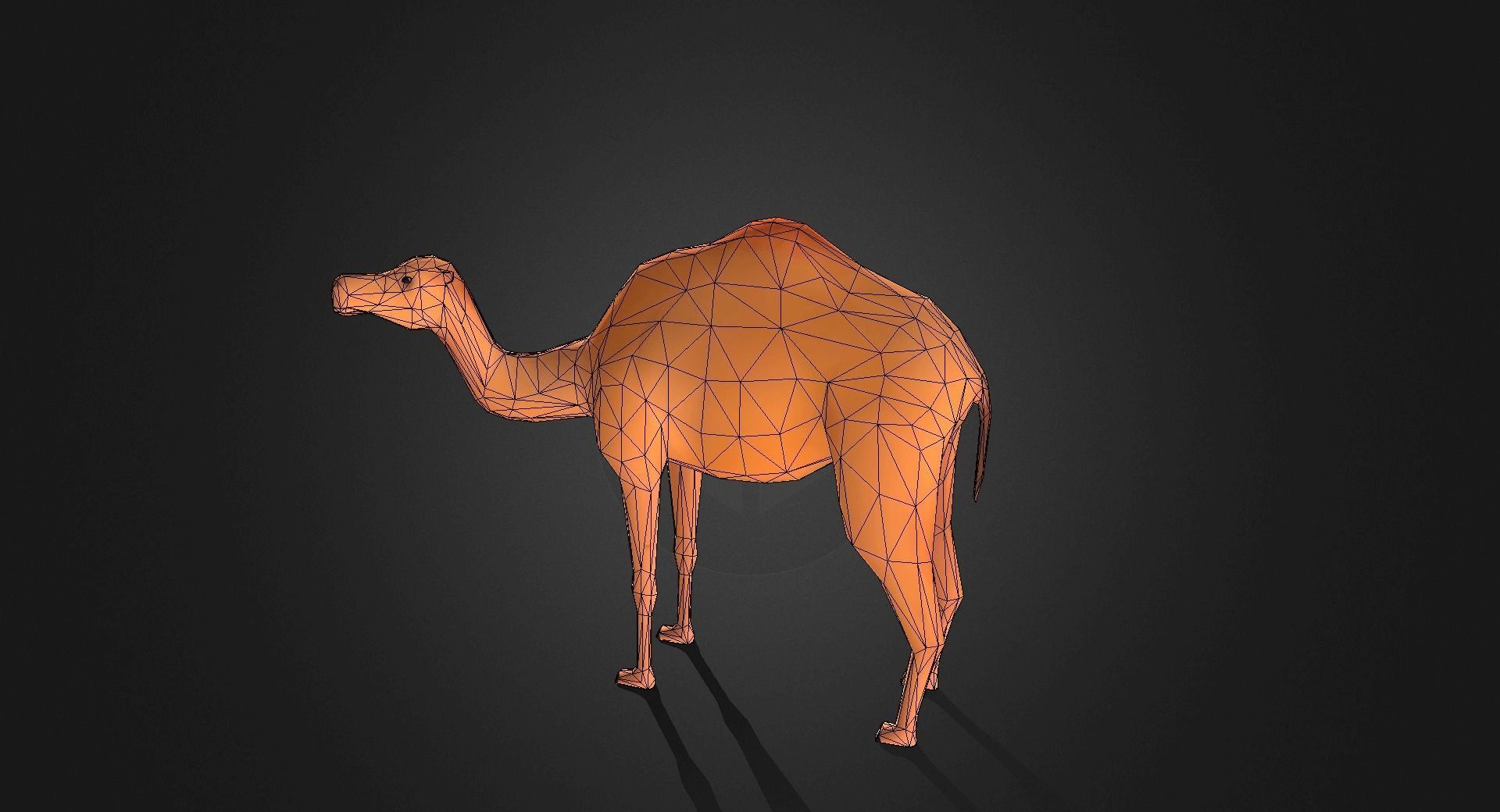Low poly Camel - Idle Animated Low-poly 3D model_8