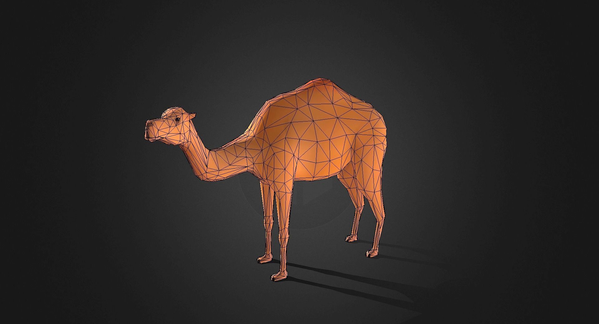 Low poly Camel - Idle Animated Low-poly 3D model_3
