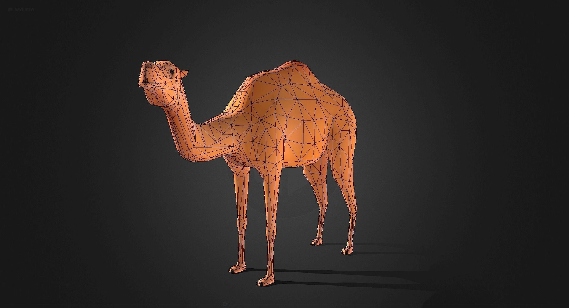 Low poly Camel - Idle Animated Low-poly 3D model_1